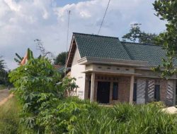 Dugaan Prostitusi Berkedok Warung Tuak Kian Marak, Pemkab Lampung Timur dan APH Diharapkan Bertindak Tegas 