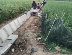 Dugaan Rangkap Jabatan Oknum Kadus,”dan Proyek P3A Guncang Desa Labuhan Ratu VII Lampung Timur