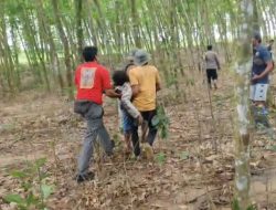 Kades braja asri tewas terinjak gajah  saat menghalau gajah liar yg masuk ke pemukiman warga