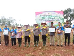 Dukung Ketahanan Pangan Nasional, Kapolres Lamtim Dampingi Kapolda Lampung Panen Raya Jagung Serentak Kuartal IV 2025