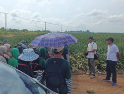 (FPPL) Forum Pemuda Pecinta Lingkungan Labuhan Ratu Kembali Terima Kunjungan Sekolah Alam Depok Jawa Barat  