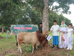 Polres Lampung Timur Gelar Penyembelihan Hewan Kurban, 7 Sapi dan 4 Kambing Disalurkan ke Masyarakat