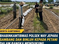 Bhabinkamtibmas Polsek Way Jepara Rutin sambangi petani binaan dalam upaya mendukung program ketahanan pangan nasional